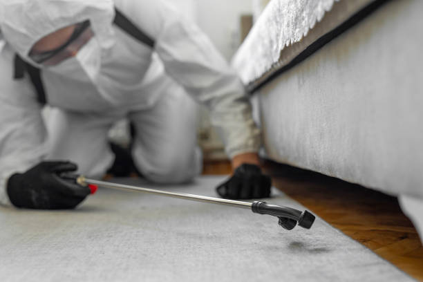 Professional Termite Control technician working in Woodfield, SC