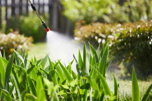 24/7 Emergency Termite Control experts in Woodfield, SC