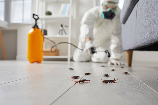 Trusted Fumigation Services service in Woodfield, SC - Nex Pest Control