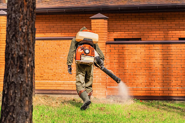 Trusted Termite Control service in Woodfield, SC - Nex Pest Control